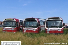 Guelph Transit 124 156 and 154 - 24JUN07